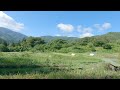 summer morning in satoyama minminzemi chirping insects chirping birds peaceful morning scenery