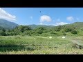 summer morning in satoyama minminzemi chirping insects chirping birds peaceful morning scenery