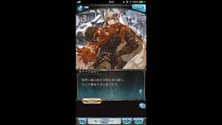 グラブル_限定ボイス_ネツァワルピリ_クリスマス2017