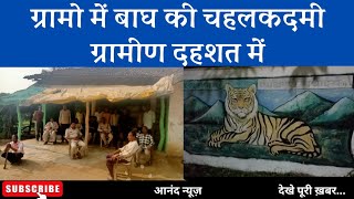 Varasivani. Villagers are in panic due to tiger roaming in rural areas, forest personnel are patrolling day and night.J