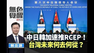 《無色覺醒》 賴岳謙 ｜中日韓加速推RCEP！台灣未來何去何從？｜20191227