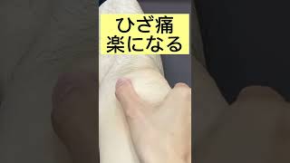 【ひざ痛】お皿ストレッチ#shorts