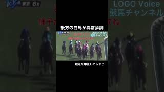 【異常歩調】後方で白馬が競走を中止してしまう