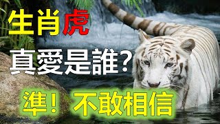 生肖虎人命中注定的正缘，属虎人的真爱是谁？2023年12生肖运势，預測十二生肖運勢（牛、蛇、雞、豬）預言生肖運勢（虎、馬、狗、羊）預知生肖運程（鼠、龍、猴、兔）