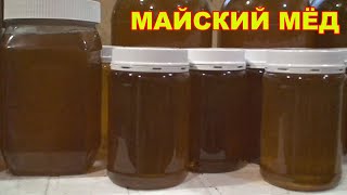 Майский мёд. Качаю.