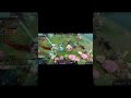 Juggernaut Double Rampage. Best Juggernaut Gameplay Dota 2.