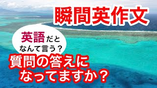 瞬間英作文264　英会話「質問の答えになってますか？」英語リスニング聞き流し