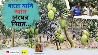 ১টি আম গাছে ৭ জাতের আম ধরায় সফল ডেমরার হাজী সালেহ | Lubna Green farm House