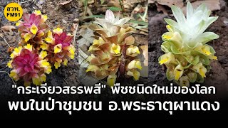 นักวิจัยไทยพบ \