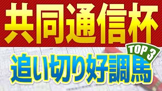 共同通信杯（2025）追い切りが抜群だった「トップ3」はこの馬だ🐴 ～JRA競馬予想～