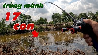 Câu Lure Cá Lóc ✅ Trở Lại Vườn Khóm Tân Phước Sau Cơn Mưa Đầu Mùa Trúng Mánh | Tâm Râu Vlog #376