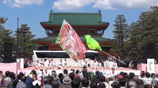 京都山城みつば家 ♪らくいち @ 京都さくらよさこい (神宮道) 2017-04-02T11:49