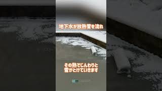 雪はきいらず⛄