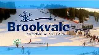 Brookvale provincial ski park winter fun