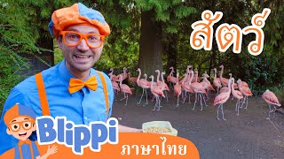 Blippi ไทย | ให้อาหารและหยอกล้อสัตว์ในสวนสัตว์ไปกับบลิพปี้ | วิดีโอการเรียนรู้สำหรับเด็ก