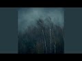 Fallen Down - Slowed + Reverb + Wind + Liminality