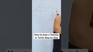 How to draw a Tortoise or Turtle Step by Step | Easy drawing | House #art # painting #art