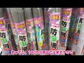 【葉をかじるだけじゃない！】ウリハムシの本当の怖さと対策／誰も教えてくれない大事なこと／100均商品で出来る簡易温室（簡易ビニールハウス）の防虫対策／ウリ科の害虫ウリバエ被害と予防／メロン栽培の様子も