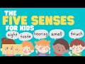 ASL The Five Senses for Kids