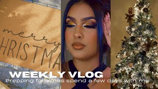 Spend the Week with Me! | Chit-Chat, Mall Shopping & Thanksgiving Prep #weeklyvlog