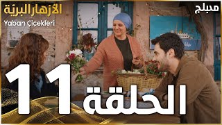 مسلسل الأزهار البريّة | الحلقة 11 | مدبلج | Yaban Çiçekleri