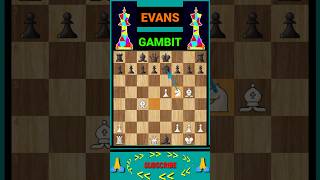 Evans gambit accepted. #shorts #chess