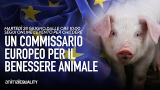 Chiediamo un commissario europeo per il benessere animale: l’evento in diretta!