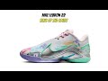 Nike LeBron 22 King of the Court