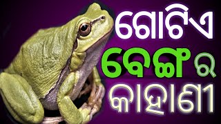 ଗୋଟିଏ ବେଙ୍ଗ ର କାହାଣୀ ।Odia Motivational video |Insprition |Best Odia Motivation Story |Odia Kahani |