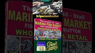 Marina Fish Market | Sriperumbudur | ஸ்ரீபெரும்புதூர் | மெரினா மீன் சந்தை | மீன் மார்க்கெட்