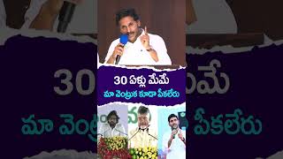 మా వెంట్రుక కూడా పీకలేరు #ysjagan #chandrababu #pawankalyan #naralokesh #andhrapradesh #appolitics