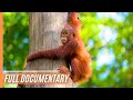 Sabah: Malaysian Borneo | Full Documentary