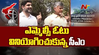 CM Chandrababu Casts His Vote for MLC Elections | AP | Ntv