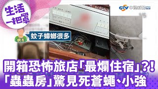 《生活一把罩》開箱恐怖旅店「最爛住宿」？！「蟲蟲房」驚見死蒼蠅、小強