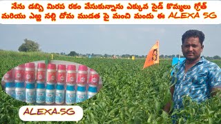 #Alexa #5G #agriculture ఎఱ్ఱ నల్లి తెల్లదొమా ముడత సూపర్ గ్రోత్