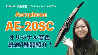 【Roland AE-20SC】Roland×島村楽器 コラボレーションモデル オリジナル音色紹介【エアロフォン最新モデル】