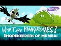 What are Mangroves?!! an animated introduction to the 'Shorekeepers of Mumbai'