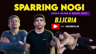 Paulo Miyao e Diego Oliveiro Pato | Treino no gi