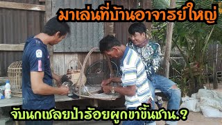 มาเล่นบ้านอาจารย์ใหญ่...จับนกป่าผูกขาขึ้นชาน...