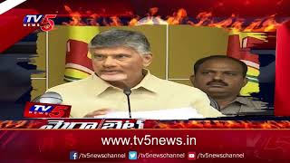 మెగా బైట్ : జగన్ జైలుకే | Chandrababu Naidu Warns CM Jagna | TV5 News Digital