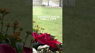 主雖然/￼￼詞曲來自天韻合唱團/￼聖經章節：以賽亞書30章20至21節/吟唱者 芯晴/原聲無配樂