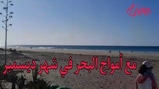 شاطئ البحر في شهر ديسمبر، هدوء و جمال /مباشر