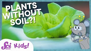 Growing Plants Without Soil! | Squeaks Grows a Garden! | SciShow Kids