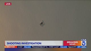 Man shot in Hollywood attempted robbery
