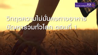 วิกฤตความไม่มั่นคงทางอาหาร ปัญหาร่วมทั่วโลก ตอนที่ 1