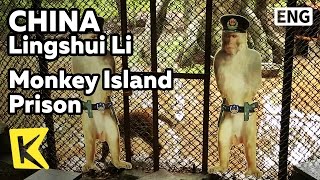 【K】China Travel-Lingshui Li[중국 여행-링수이리]원숭이 섬의 원숭이 감옥/Monkey Island/Prison/Nanwan Houdao Island