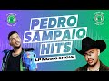 🎵🌟 Pedro Sampaio: Os Maiores Hits de 2024! 🌟🎵