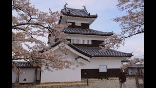 JG☆☆4K 福島 桜の白河小峰城(史跡) Hirakawa Komine Castle in Sakura Season(Historic Site)