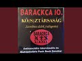 Live Anarchy (Just a Joke Lyrics)