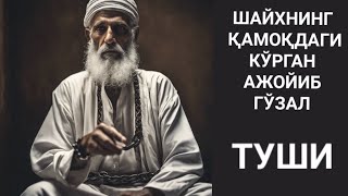 ЯҲУДИЙ ҚАМОҚХОНАСИДАГИ ТУШ. ШАЙХ ЮСУФ МУХОРАЗА